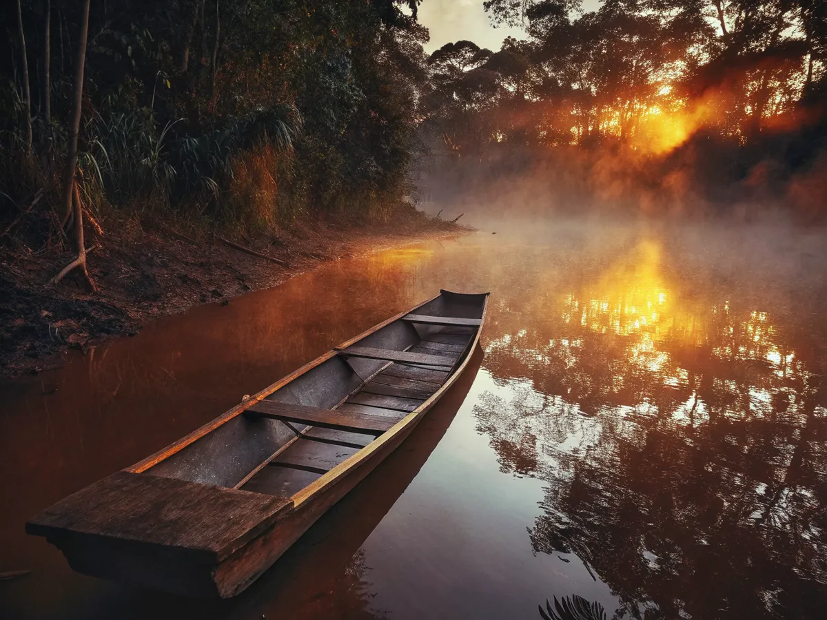 The Amazon